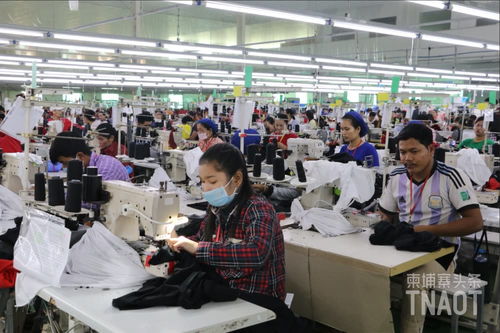 柬埔寨eba告急,三大機構(gòu)聯(lián)合要求歐盟延期撤銷